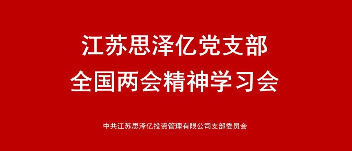 思泽亿党支部组织学习两会精神